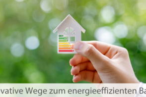 Eine Hand, Die Ein Kleines Haus Mit Den Energieeffizienzklassen In Die Kamera Hält